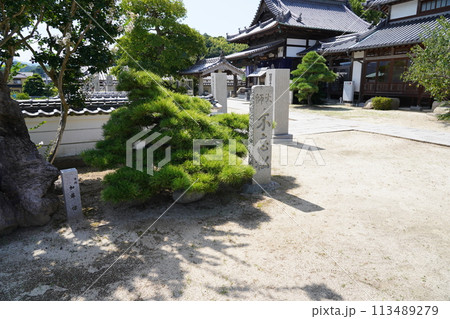 四国お遍路　泰山寺の庭 113489279