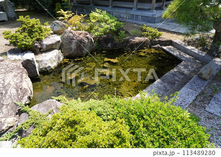 お寺 庭にある池と低木 お寺 庭にある池と低木 113489280