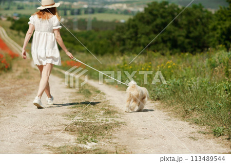 woman with dog. Happy woman walking with white dog the road along a blooming poppy field on a sunny day, She is wearing a white dress and a hat. On a walk with dog 113489544