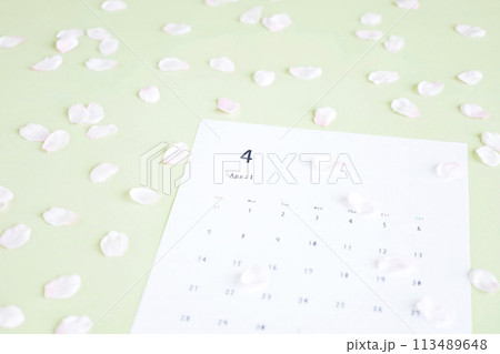 ライトグリーン背景の4月のカレンダー　桜舞う春のふんわりソフトなイメージ 113489648