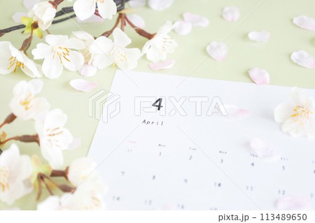 ライトグリーン背景の4月のカレンダー　桜舞う春のふんわりソフトなイメージ 113489650