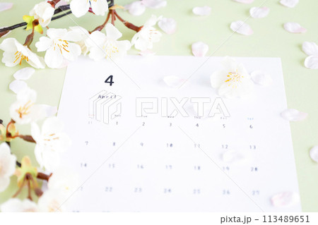 ライトグリーン背景の4月のカレンダー 桜舞う春のふんわりソフトなイメージ ライトグリーン背景の4月のカレンダー 桜舞う春のふんわりソフトなイメージ 113489651