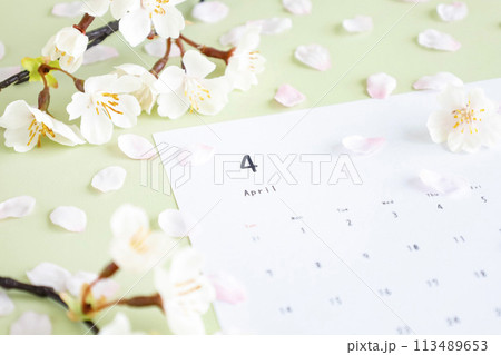 ライトグリーン背景の4月のカレンダー　桜舞う春のふんわりソフトなイメージ 113489653