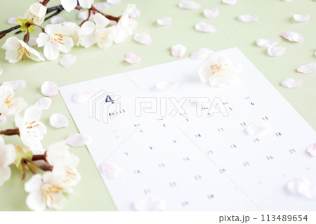ライトグリーン背景の4月のカレンダー 桜舞う春のふんわりソフトなイメージ ライトグリーン背景の4月のカレンダー 桜舞う春のふんわりソフトなイメージ 113489654