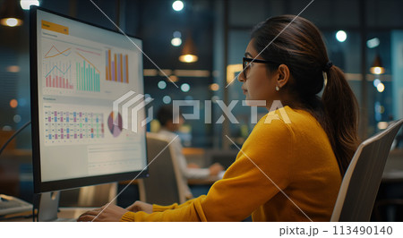 Indian Woman Working at Computer 113490140