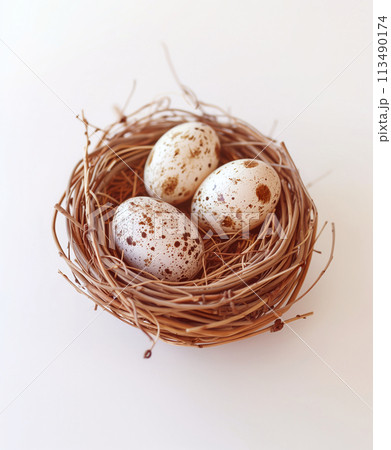 鳥の巣の中の卵、ホワイトスペース 鳥の巣の中の卵、ホワイトスペース 113490174