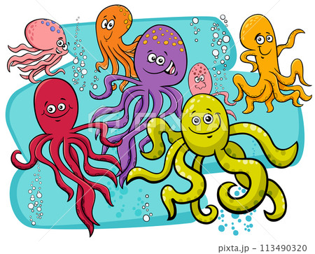 octopus animal characters cartoon illustration 113490320
