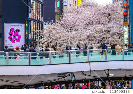 日本の東京都市景観 渋谷サクラステージSHIBUYAタワー前のさくら坂で、桜が満開に＝4月5日 113490358