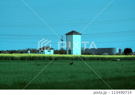 small house in the field small house in the field 113490714