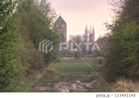 old abandoned house in the forest 113491148