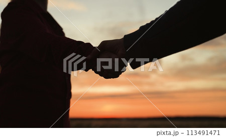 Handshake at sunset, silhouette in park field. At dawn in agricultural field women make deal agree on joint cooperation. Shaking hands gesture close business friendship. Strong long joyful handshake. Handshake at sunset, silhouette in park field. At dawn in agricultural field women make deal agree on joint cooperation. Shaking hands gesture close business friendship. Strong long joyful handshake. 113491471