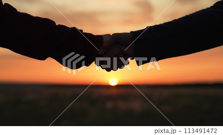 Handshake at sunset silhouette in park field. Hand shake two farmers business people on background of setting sun in meadow making deal conclusion of transaction bargaining. Agricultural business. Handshake at sunset silhouette in park field. Hand shake two farmers business people on background of setting sun in meadow making deal conclusion of transaction bargaining. Agricultural business. 113491472