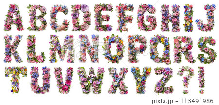 Flower font alphabet isolated on white background 113491986