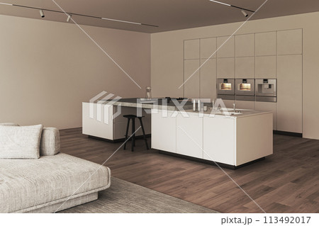 Modern minimalist kitchen and living room interior with stylish furniture 113492017