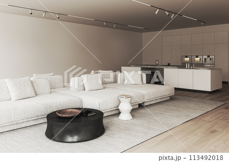 Modern living room and kitchen in a minimalist design 113492018