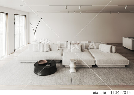 Expansive modern living room interior with a large comfortable sofa 113492019