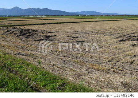 秋の田園風景 山形県庄内 秋の田園風景 山形県庄内 113492146