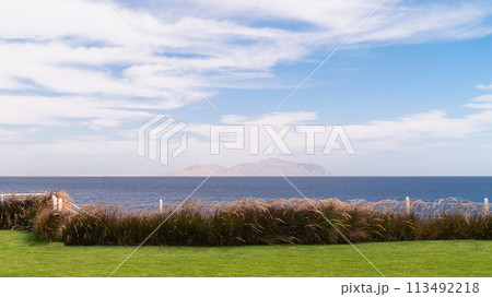 Scenic coastal view with tall grasses, a calm sea, and a distant island under blue skies. Scenic coastal view with tall grasses, a calm sea, and a distant island under blue skies. 113492218