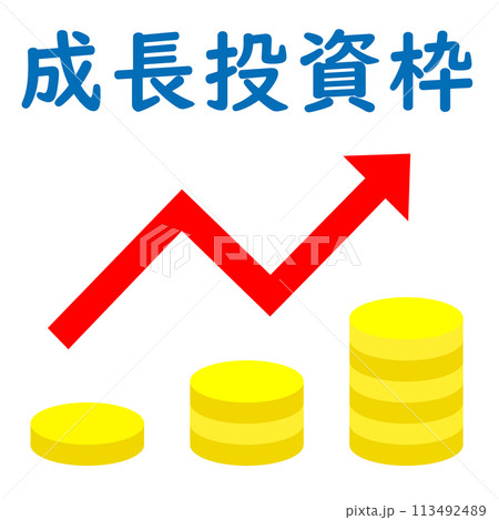 NISA 成長投資枠 NISA 成長投資枠 113492489