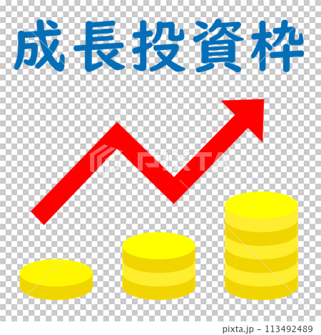 NISA 成長投資枠 NISA 成長投資枠 113492489