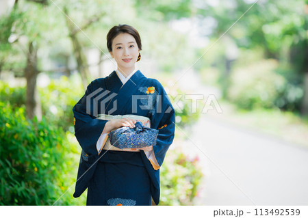 訪問着の着物を着た女性 113492539