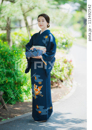 訪問着の着物を着た女性 113492542