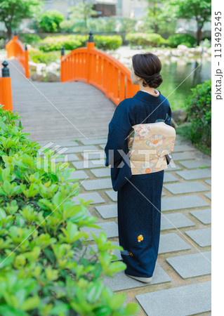 訪問着の着物を着た女性 訪問着の着物を着た女性 113492545