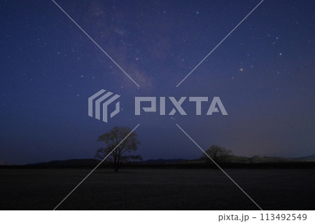 北海道豊頃町の春の春楡と星空-3 北海道豊頃町の春の春楡と星空-3 113492549