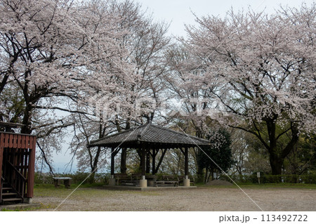 春の箕輪城　二の丸跡の展望台 113492722