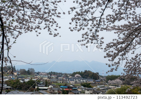 箕輪城　二の丸跡展望台からの風景 113492723