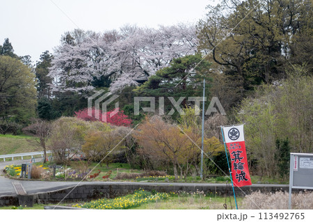 春の箕輪城 春の箕輪城 113492765