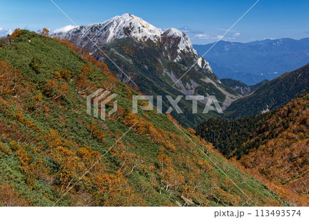 南アルプス・仙丈ヶ岳のダケカンバの黄葉と甲斐駒ヶ岳 113493574