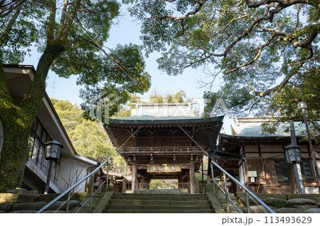 志賀海神社の楼門＜福岡県福岡市/2023年12月＞ 113493629