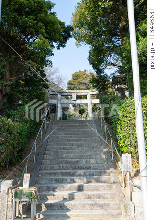 志賀海神社＜福岡県福岡市/2023年12月＞ 113493631