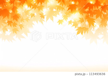 美しい秋の紅葉の水彩風フレーム背景 113493636