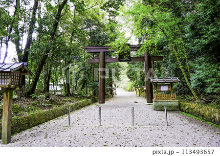 石上神宮大鳥居と参道 石上神宮大鳥居と参道 113493657