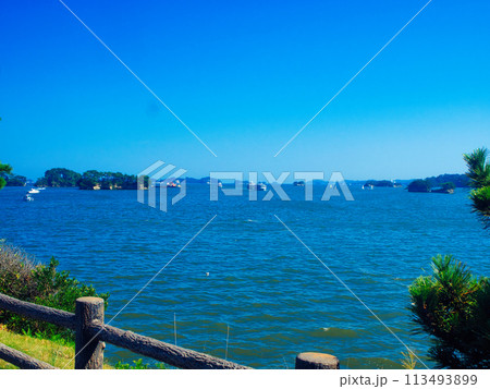 日本三景松島(夏、宮城県) 113493899