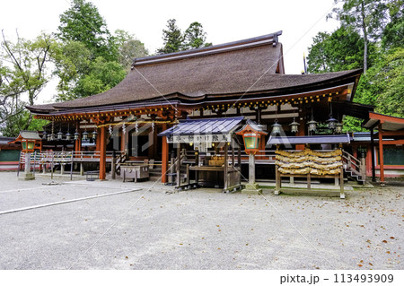 国宝の拝殿 113493909