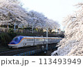 桜満開の霞城公園と山形新幹線E8系 113493949