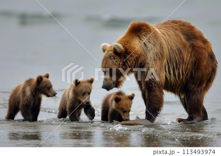 Brown Bear Mother Fishing with Cubs by Water. Generative AI 113493974