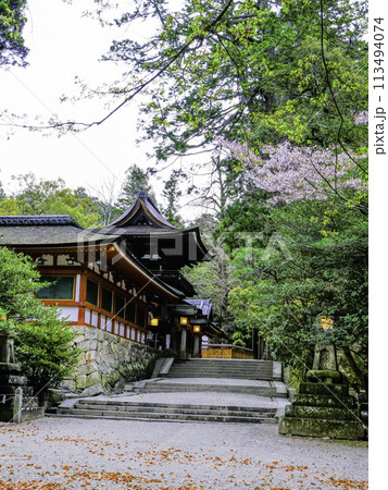 石上神宮楼門と廻廊(縦) 石上神宮楼門と廻廊(縦) 113494074