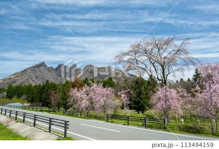 阿蘇高森から見える根子岳と咲く桜が美しい 113494159