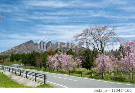 阿蘇高森から見える根子岳と咲く桜が美しい 113494160