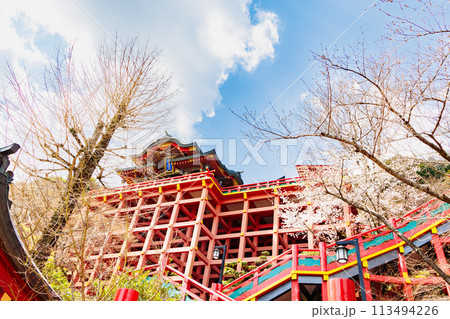 春の神社 113494226