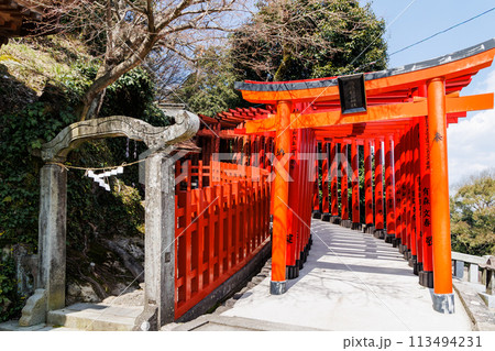 春の神社 春の神社 113494231