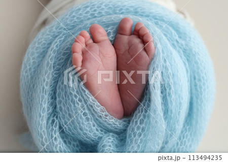 The tiny foot of a newborn baby. Soft feet of a new born in a blue wool blanket. Close up of toes, heels and feet of a newborn. Macro photography. The tiny foot of a newborn baby. Soft feet of a new born in a blue wool blanket. Close up of toes, heels and feet of a newborn. Macro photography. 113494235