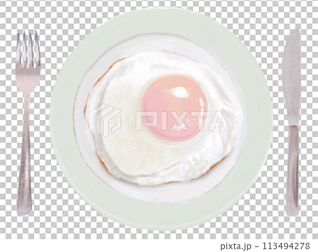 煎蛋（附盤子和餐具） 113494278