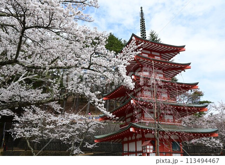 桜に包まれた五重塔 桜に包まれた五重塔 113494467