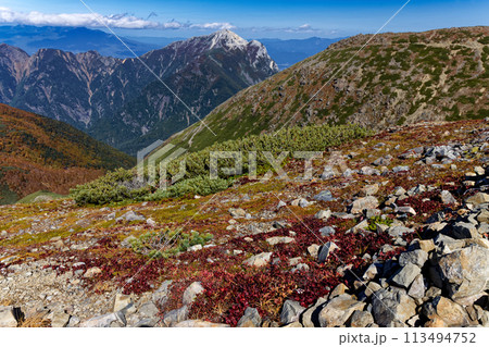 南アルプス・仙丈ヶ岳の草紅葉と甲斐駒ヶ岳 113494752