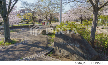 【千葉県千葉市】おゆみ野そばら公園と桜 【千葉県千葉市】おゆみ野そばら公園と桜 113495150